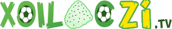 sân bóng chuyền