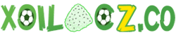 sân bóng chuyền